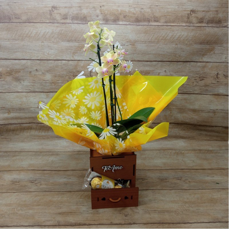 Mini Orquídea Te Amo - Cor Variada